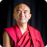 mingyur rinpoche